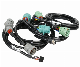 Automotive Wire Harness Cable Assemblies