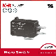  16A Micro Switch with RoHS UL (NV21/NV-16)