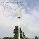 Monopole Self Supporting Steel Pole Mobile Cell Site Telecom Tower