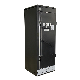  19in 35u Rfi/EMI Shielded Cabinets for It Equipment