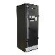 19in 35u Rfi/EMI Shielded Cabinets for It Equipment