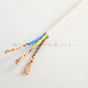  Electrical/Electric PVC NBR HDPE Insulation Copper CCA Conductor 450/750V Flexible Cable