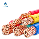  House Wiring Building Cable, Lighting and Construction Cable 50mm2 70mm2, 95mm2