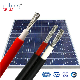 Wholesale 4mm 6mm 10mm Tinner Copper Photovoltaic Solar DC Electric Wire Flexible Electrical PV Cable