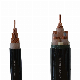  Low Voltage 1.5/2.5/4/6/10/16mm LSZH Aluminum/Copper Power Cable 1/2/3/4/5core (Customizable)