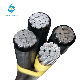 Quadruplex Service Drop / ACSR (ABC Cable)