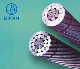Low Loss Conductor Ll-ACSR/as Curlew with Thermal Resistant Aluminium Alloy Conductor