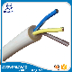  H05VV-F Copper Conductor PVC Electric Insulated Flexible Cable (2X6.0mm2 2X10.0mm2)