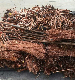  Hot Selling Copper Wire Scrap From Electrical Cables with High Quality