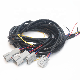 OEM /ODM Manufacturer Wire Harnesses and Cable Assembly