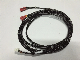 High-Quality Electric Wire Harness Assembly