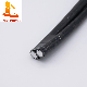 Aerial Bundled Conductor XLPE/PE Insulation 2X16mm2 ABC Cable