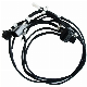 Hot Selling Custom Auto Motorcycle Wire Harness & Cable Assembly