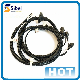  Customized Car Auto Cable Wire Harness Automotive Wiring Harness with CE Approval