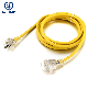  a Leading Factory with ISO9001: 2000 Certified of International Standard Power Extension Cord Set with UL, CCC, VDE, Bsi, PSE, Ket, Sev, SAA, Imq, Iram, Ke