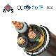  Shenguan H07rn8-F Rubber Insulated Copper Waterproof Power Cable Electrical Cable Wire Cable Control Cable 33kv Underground Cable PVC/XLPE/PE