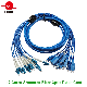 Indoor Sc/LC/FC/St/E2000/Mu Armoured Fiber Optic Armored Patch Cord