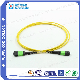  Fiber Optic Patch Cord Cable MPO/MTP