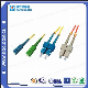 Fiber Optic Patch Cord for Sc Sm LSZH in Shenzhen