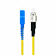  Sc-FC Singlemode 3.0 Patchcord Fiber Optic Pigtails Simplex for FTTH