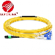 Fiber Jumper MPO 24 OS2 Single Mode Fiber Optic Patch Cord Cable Pigtail