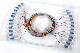  RoHS Compliant 0.9mm Sm G652D 12 Color Fiber Optic Pigtail