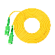 Sc APC Sm Simplex Fiber Optic Patch Cord manufacturer