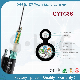  12/24/36/48/60/72/96/144 Core Figure 8 Multi Loose Tube Armored Outdoor Fiber Optic Cable GYTC8S