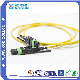 MPO Plus-MPO Plus Optical Fiber Jumper