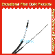 OEM GJYXFCH Metal Strength Member Self-Supporting FTTH Drop Fiber Cable with Factory Price