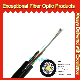  No-Metallic/No-Armored Outdoor Fiber Cable 2-144 Core Singlemode Fiber Optic Cable GYFTY