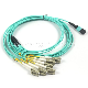 High Density 24 Fiber Breakout MTP-LC Cable