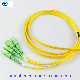  Sc/APC 4core Quadplex Flat Cable Patch Cord Pigtail with 2.0mm