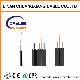 1/2/4/6/8/12cores Single/Mulit Mode FTTH Fiber Optic Flat Drop Cable manufacturer