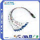 12 Colored 0.9mm Fiber Optical Cable with MPO and LC Fanout Connectors