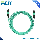 Fiber Optic MTP/MPO Om3 12 Cores Trunk Cable Assembling Patchcord