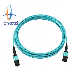  Professional Manufacturer 1 Meter 12 Cores Fiber Optic Patchcord Om3-300 Female MPO Fiber Optic Patchcord