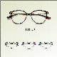  High-Grade Quality Popular Style Optical Frame with Magnet