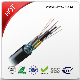 Competitive Prices 48 Core 96 Core Duct Fiber Optic Cable (GYTS)