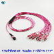 8 12 24 Core Sc FC LC St Type with MTP MPO Female Fiber Optic Patch Cord