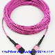 Fiber Optic Patch Cord MPO/Upc-MPO/Upc mm LSZH Type B for FTTH