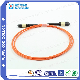 Shenzhen Manufacturer Competitive Fiber Optic Cable Patch Cord