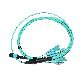  Premium 12f 24f MPO/MTP LC Cores Optical Patchcord Sm mm Om3 Om4 Cable Jumper Fiber Optic Patch Cord