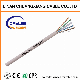 Network LAN Cable UTP CAT6 Indoor manufacturer