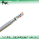  100Mbps 0.45mm 305m Indoor and Outdoor RJ45 LAN Cable 23/24AWG 4pr 0.5-0.56mm UTP Network Cable
