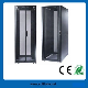 Network Cabinet/Server Rack with Height 18u to 47u (ST-NCE-42U-610) manufacturer
