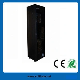 Network Cabinet/Server Cabinet (ST-NCE-42U-66) with 18u to 47u manufacturer