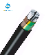  E-Ayy Al Conductors PVC Insulated and Sheathed Aluminum Power Cable