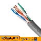 Test Pass LAN Cable Cat5e UTP manufacturer