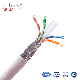 China Factory Wholesale 300/500vpe Insulated Pair Stranded Copper Wire Braided PVC Sheathed Communication Computer Cable